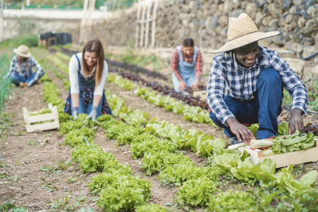 Nutrition and Health of the Farmworker Population
